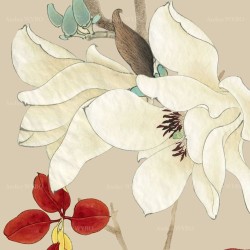 Décor zen séparation légère entrée, séjour, chambre - Magnolia blanc et oiseau bleu, fond beige