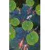 Revêtement de sol salle de bains zen - Feuilles de nénuphar et carpes dans l'étang