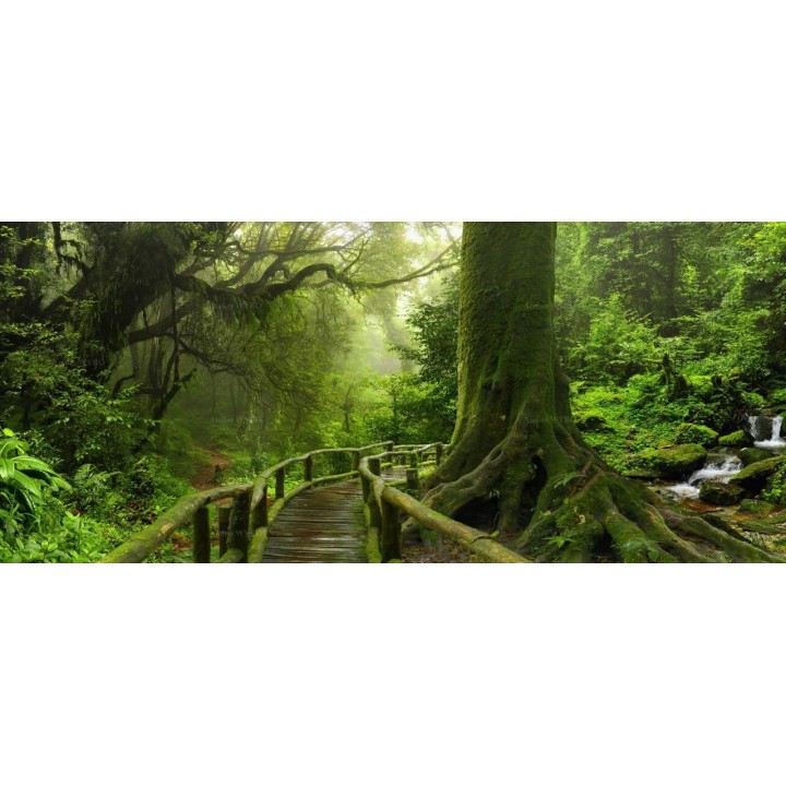 Panneau étanche décoratif salle de bains paysage trompe l'œil 3D - Passerelle dans la forêt profonde