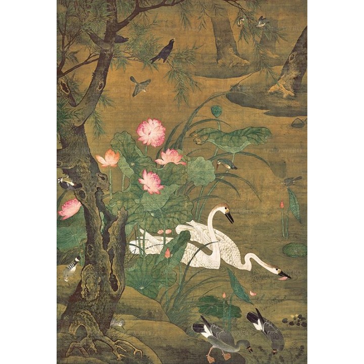 Les oies et les canards dans l'étang avec les lotus