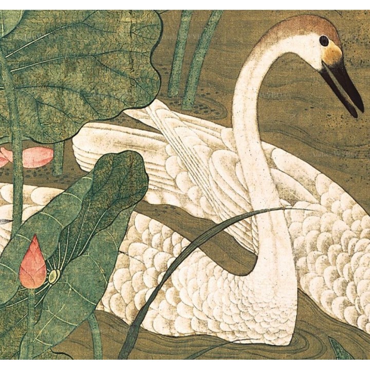 Les oies et les canards dans l'étang avec les lotus