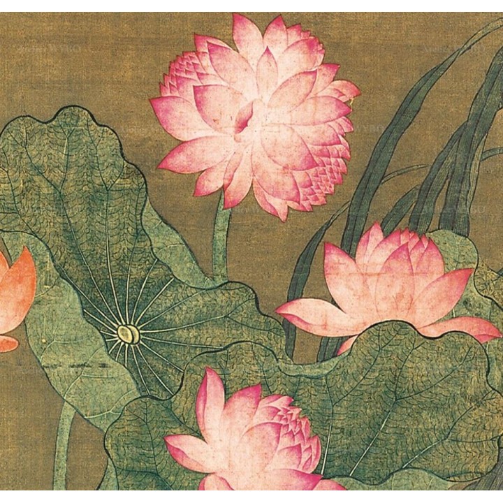 Les oies et les canards dans l'étang avec les lotus