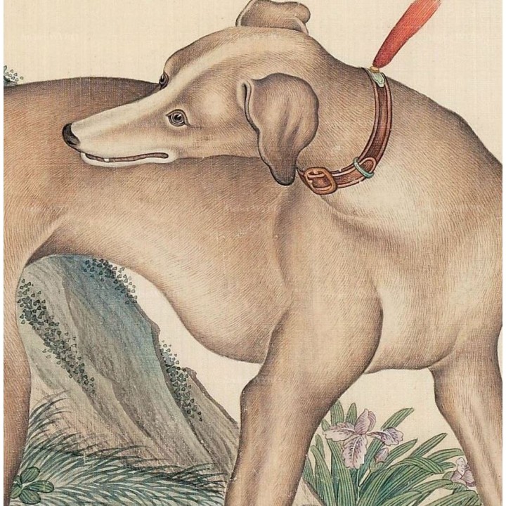 Le chien au pied du rocher sous le saule pleureur et les fleurs