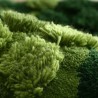 Tapis vert velour épais en relief 3D forme ronde - La mousse et les lichens