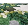 Tapis moderne velours épais en relief 3D forme irrégulière - Herbes, mousse et lichens en printemps