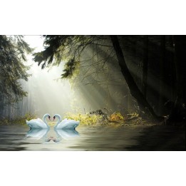 Papier peint paysage fantaisie-Les cygnes à l'aube