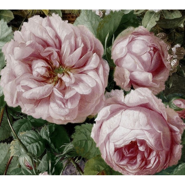Lambris PVC décoratif aspect ancien, salle de bains vintage mur floral - Pivoines, roses et jasmins