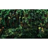 Panneau de douche mur végétal - Les plantes grimpantes de la jungle