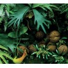Panneau de douche mur végétal - Les plantes grimpantes de la jungle