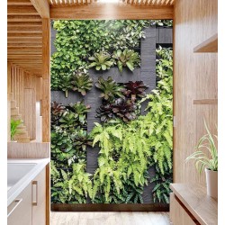 Panneau mur végétal - Les plantes grimpantes avec séparation en bois foncé