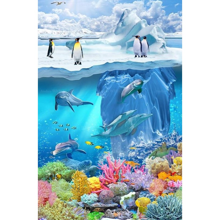 Pingouins sur banquise, dauphins et coraux dans mer tropicale