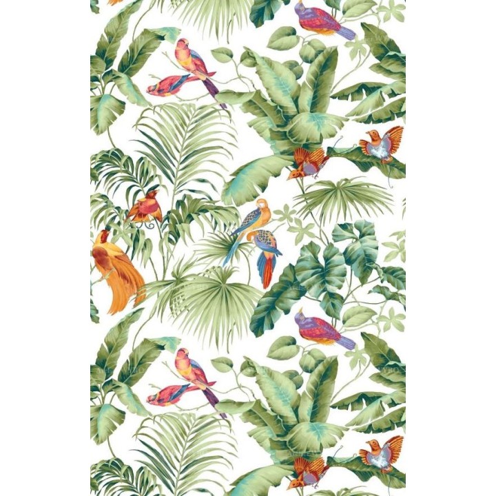 Panneau de douche décoratif - Oiseaux exotiques et plantes tropicales sur fond blanc