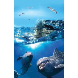 Panneau salle de bains bleu marine fond marin les dauphins