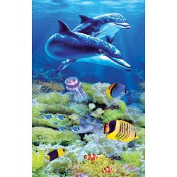 Paysage fond marin - Les dauphins et les poissons tropicaux