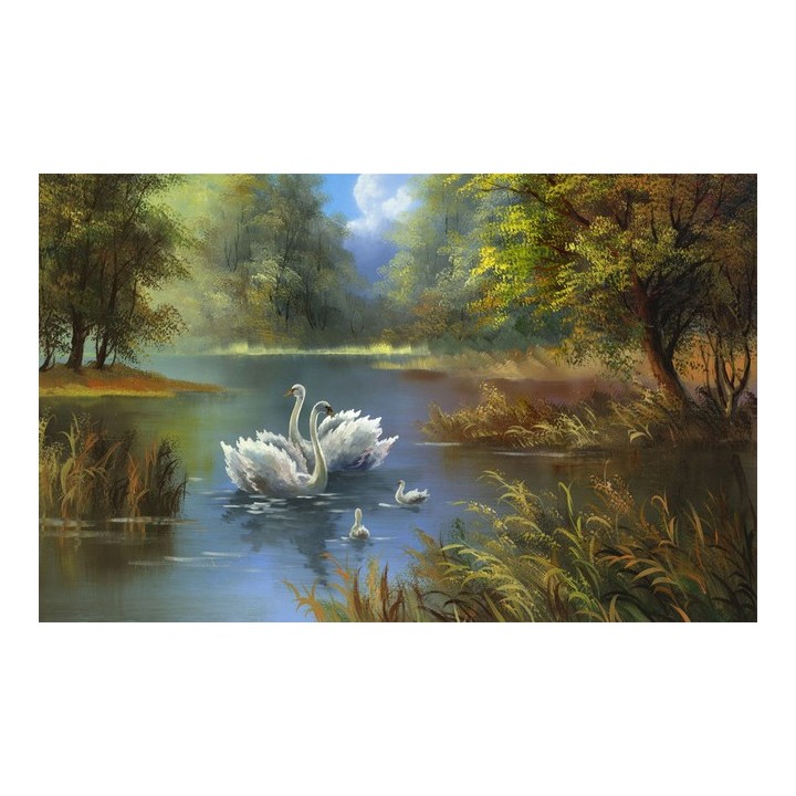 papier peint d'artiste paysage fantaisie-La famille cygne sur lac