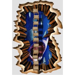 Sol 3D Evénementiel Trou Vertigineux Dessin Trompe l'Œil