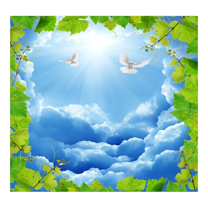 plafond tendu imprimé personnalisé le ciel bleu papier peint intissé plafond