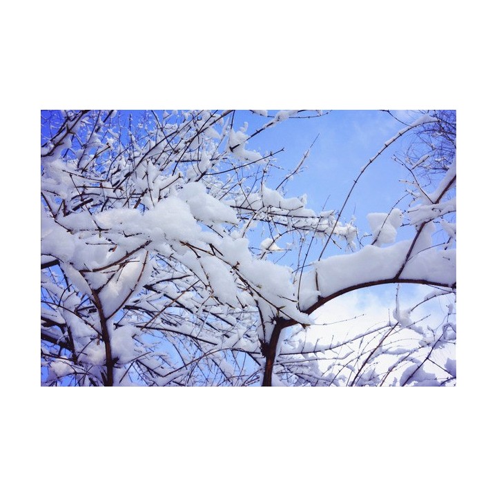 plafond tendu imprimé sur mesure paysage d'hiver la neige
