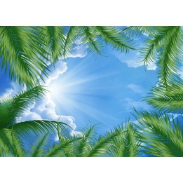 plafond tendu imprimé sur mesure paysage d'été ciel bleu avec les palmiers