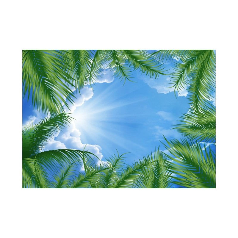 Décor plafond personnalisé - Ciel bleu avec les palmiers
