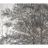Forêt et arbres niveau de gris