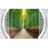 Papier peint 3D paysage - Petit chemin dans la forêt de bambous - Extension d'espace