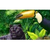 Panneau de douche personnalisé, panthère noire et toucan dans la jungle.
