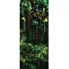 Salle de bains tropicale mur végétal - Les plantes suspendues de la jungle