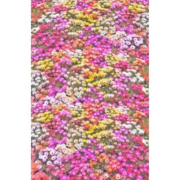revêtement de sol design personnalisé le tapis de fleurs en printemps