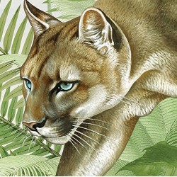Papier peint chambre d'enfant animaux félin - Panthère, jaguar, puma et singes dans la jungle