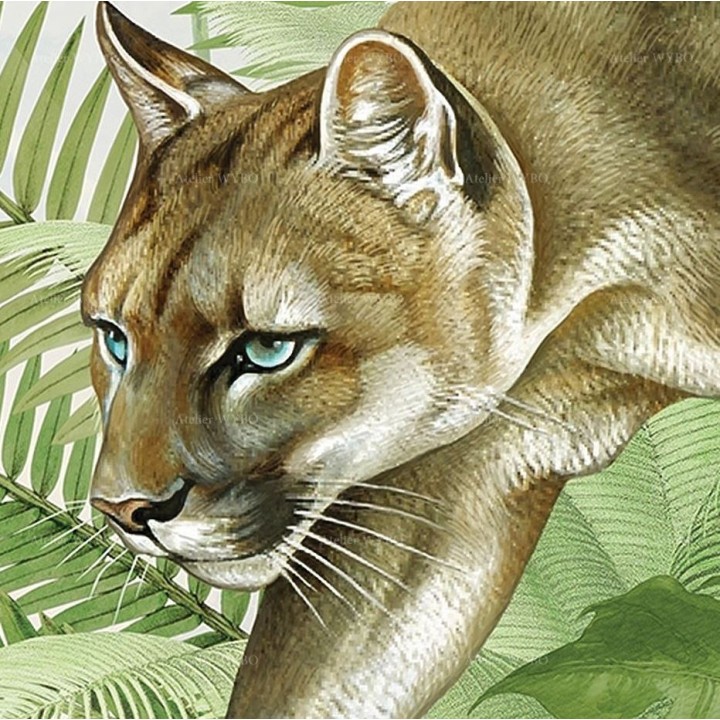 Poster géant chambre enfant plante tropicale panthère puma jaguar singe