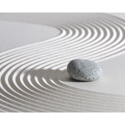 Tapis japonais zen trompe...