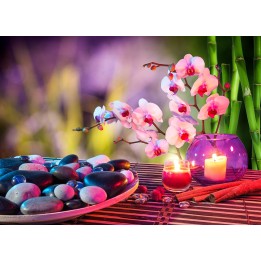 décoration zen relaxe ambiance SPA papier peint personnalisé tapisserie numérique sur mesure les orchidées roses