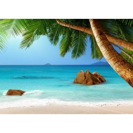 papier peint photo personnalisé paysage mer tropicale avec cocotier