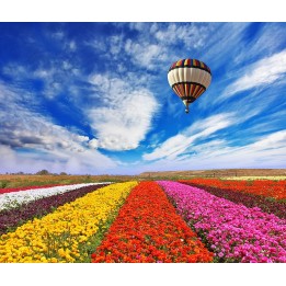 papier peint photo panoramique personnalisé paysage Mongolfière dans le champ de fleur