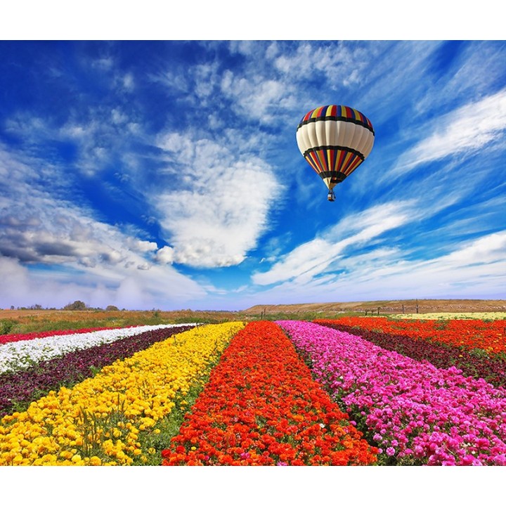 papier peint photo panoramique personnalisé paysage Mongolfière dans le champ de fleur