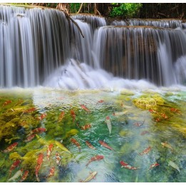 revêtement de sol vinyle autocollant pvc paysage personnalisé cascade avec les poissons