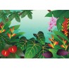 Les plantes tropicales