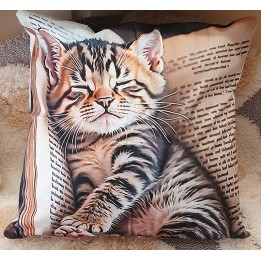 Coussin chaton idée cadeau chambre enfant, décoration bibliothèque et accessoire de lecture original.