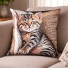 Coussin mignon déco canapé, chaton tigré dormant sur un livre ouvert.