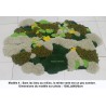 Tapis 3D en relief paysage méditerranéen - Colline de mimosas et forêt de pins