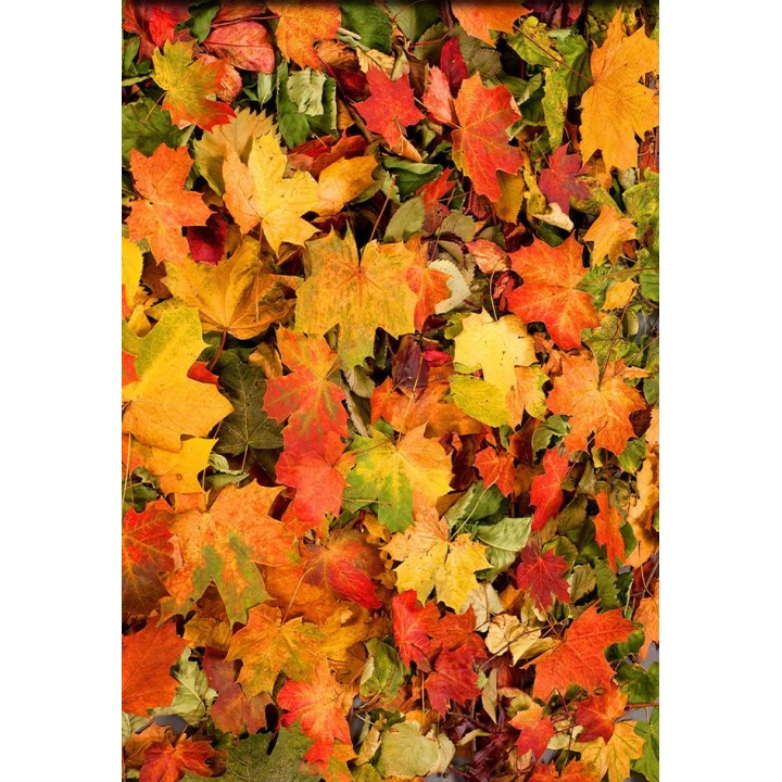 revêtement de sol vinyle autocollant pvc personnalisé paysage d'automne tapis de feuilles