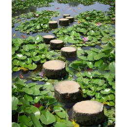 revêtement de sol salle de bain vinyle autocollant pvc personnalisé paysage zen pas japonais dans l'étang de nénuphar