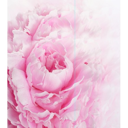 Panneau mural floral salle de bain et douche à l'italienne - Pivoine rose