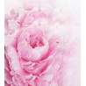 Panneau mural floral salle de bain et douche à l'italienne - Pivoine rose