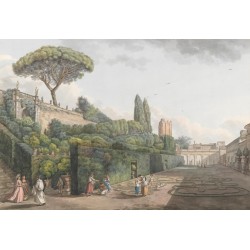 Panneau Vintage Pour Douche Italienne - Jardin Avec Labyrinthe et Pin Parasol