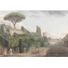 Panneau Vintage Pour Douche Italienne - Jardin Avec Labyrinthe et Pin Parasol