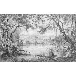 Panneau étanche panoramique paysage de la forêt, conçue pour un contact direct et prolongé avec l'eau.