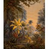 Fresque Salle de Bain - Jungle en Couleur Série 4 - La Saison Sèche