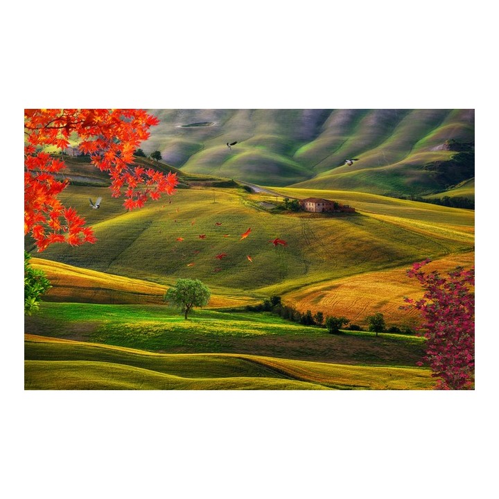 papier peint photo paysage personnalisé la plaine